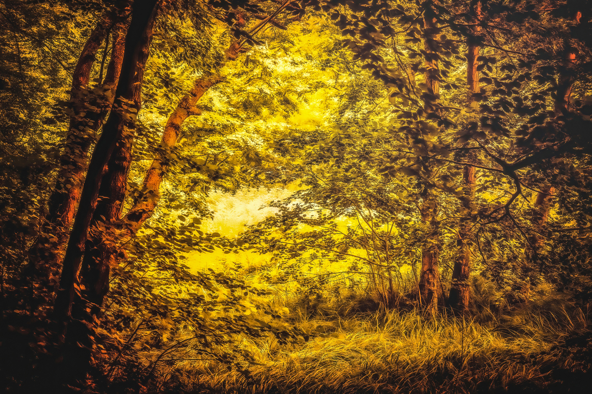 Fall approaching