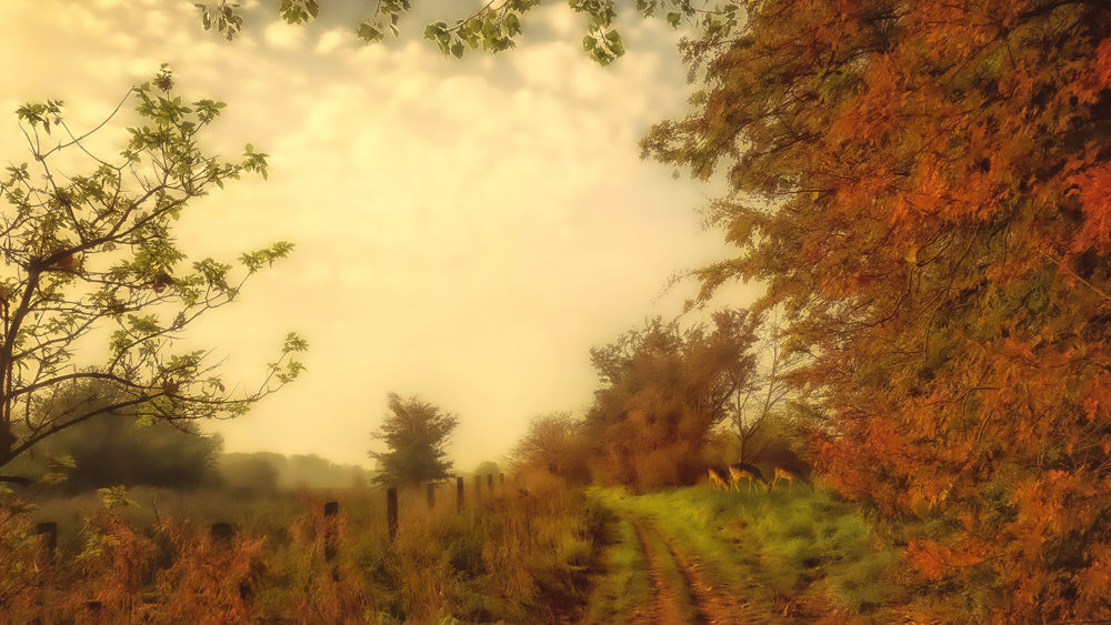 Guldalder inspiration 4