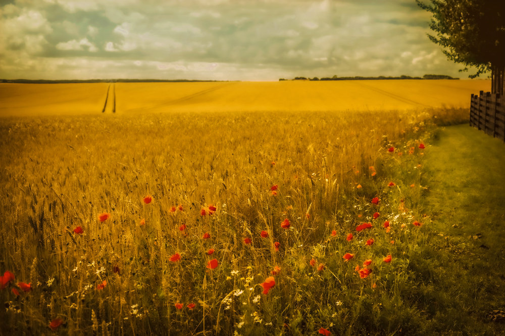 Guldalder inspiration 7