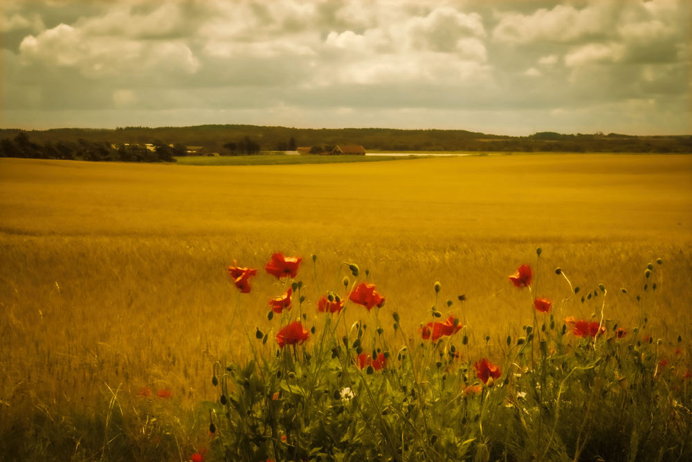 Guldalder inspiration 8